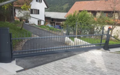 Drsna dvoriščna vrata – Borovnica